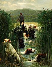 Starting the hunt for ducks.